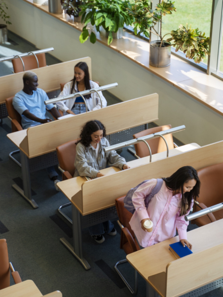 students-studying-together-high-angle